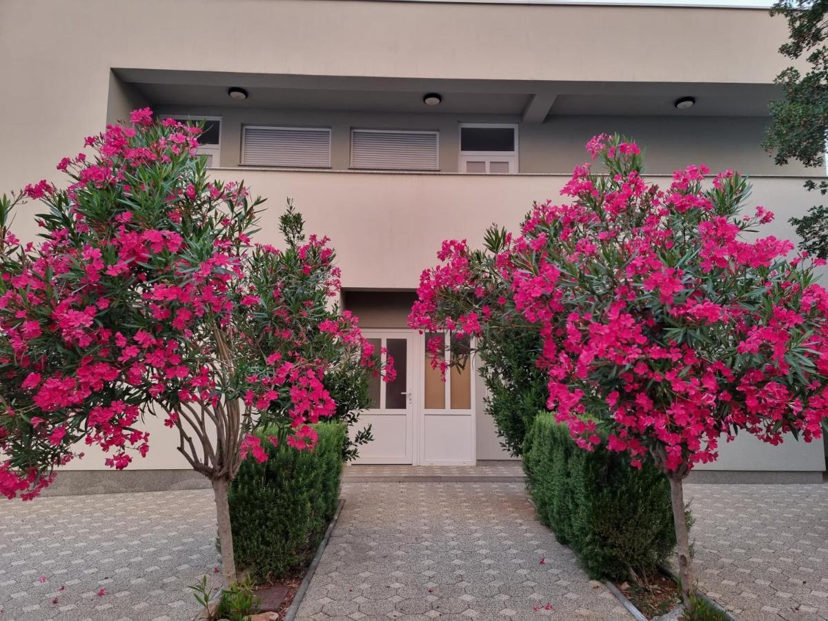 Apartmani Jozic Seline Extérieur photo